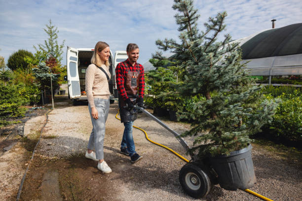 Best Tree Maintenance Programs  in Pelham Manor, NY
